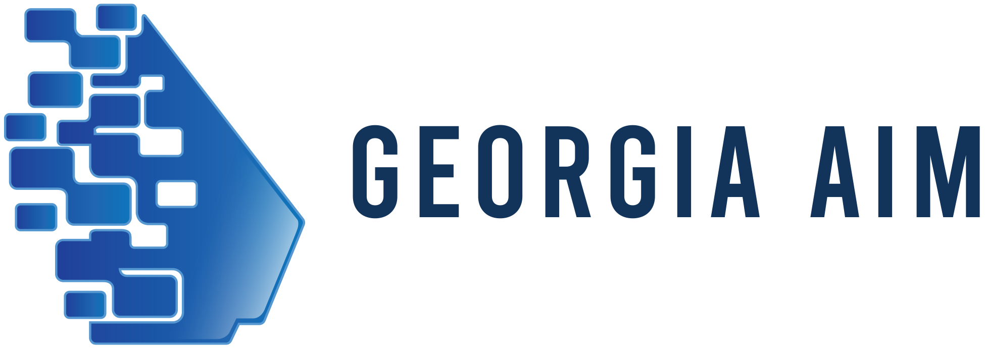 Georgia AIM